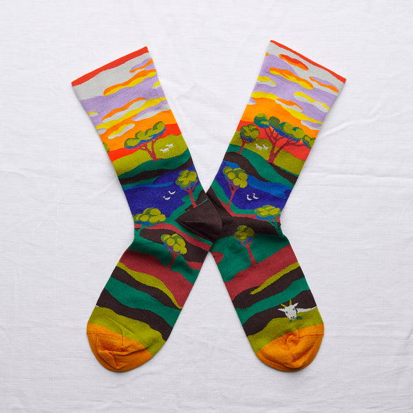socks meadow sunset - Portobello Lane