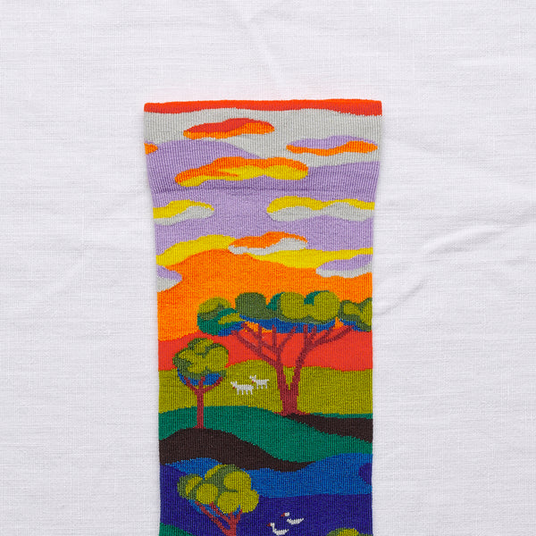 socks meadow sunset - Portobello Lane